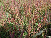 s2_IMGP0152s.png